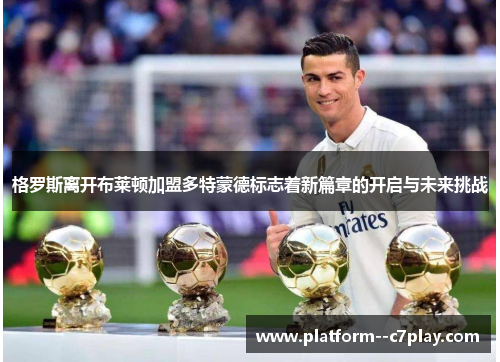 格罗斯离开布莱顿加盟多特蒙德标志着新篇章的开启与未来挑战